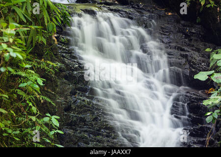 Petite cascade à Monteverde Cloud Forest Reserve Banque D'Images