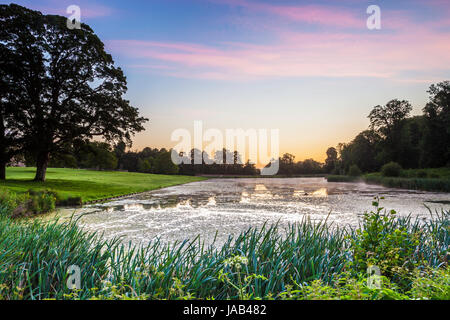 Un lever de soleil sur l'été au lac Parc Lydiard à Swindon, Wiltshire. Banque D'Images