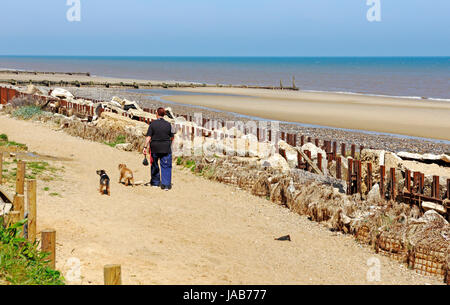 Une dame marcher deux chiens sur la plage de North Norfolk à Mundesley-sur-Mer, Norfolk, Angleterre, Royaume-Uni. Banque D'Images