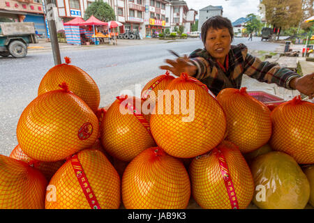 Guangxi, Chine. Entre et Yangshuo Longji. Pomelos à vendre au bord de la halte routière. Banque D'Images