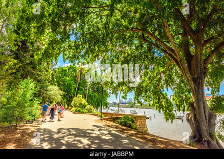 Rivière Brisbane, Southbank et Botanical Garden views Banque D'Images