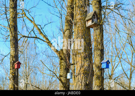 Quelques nichoirs dans le parc. Maison pour oiseaux. Prendre soin des animaux concept Banque D'Images