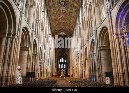 La magnifique nef de cathédrale d'Ely, Ely en Angleterre Banque D'Images