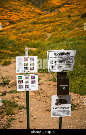 La signalétique en le printemps des champs de pavot dans Walker Canyon près de Lake Elsinore, Californie, USA. Banque D'Images