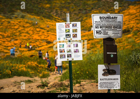 La signalétique en le printemps des champs de pavot dans Walker Canyon près de Lake Elsinore, Californie, USA. Banque D'Images