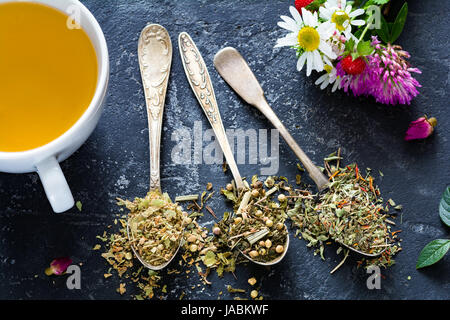 Sélection de thé de fines herbes séchées vintage en cuillères à thé. Vue rapprochée Banque D'Images