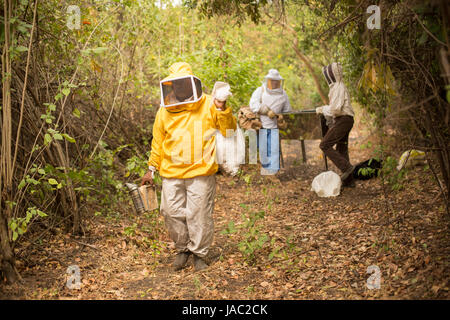 Les agriculteurs de l'abeille se préparent à rentrer chez eux après une journée de travail récolte et extraction de Léon, Ministère du Nicaragua. Banque D'Images