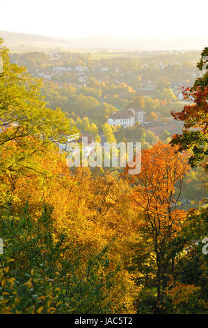 L'automne arbres jaunes sur Frauenberg à Fulda, Hessen, Allemagne Banque D'Images