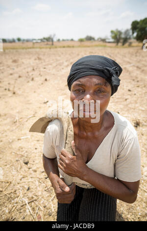 Un agriculteur se trouve dans son champ de maïs dans le nord de la toundra, le Ghana, l'Afrique de l'Ouest. Banque D'Images