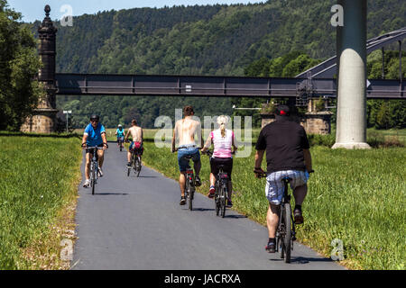 Les gens, les cyclistes sur une piste cyclable Elbe vélo à bridge Bad Schandau, Saxe, Allemagne pont vallée de l'Elbe, de l'Europe Banque D'Images