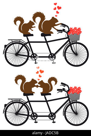 Couple d'Écureuil Amoureux sur tandem avec coeurs rouges, vector illustration de l'invitation de mariage, Valentine's day card Banque D'Images