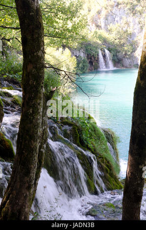 Naturlandschaft im Nationalpark an den Plitvicer seen in Kroatien Banque D'Images