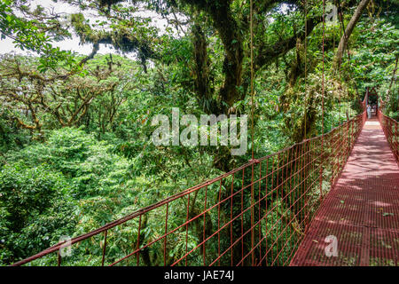 Vue grand angle du pont suspendu rouge dans la forêt tropicale de Monteverde au côté droit de l'image Banque D'Images