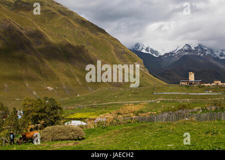 Tours médiévales et des villages dans les montagnes du Caucase, en Géorgie. Banque D'Images