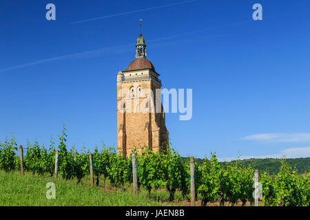 France, Jura, Arbois, tour de l'église Saint Just et le vignoble Banque D'Images