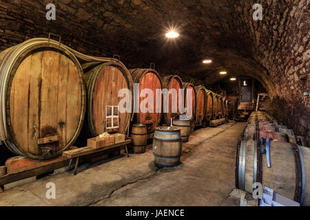 France, Jura, Arbois, l'une des plus belles cave à vin dans la ville, celle d'Evelyne et Pascal Clairet, Domaine de la Tournelle Banque D'Images