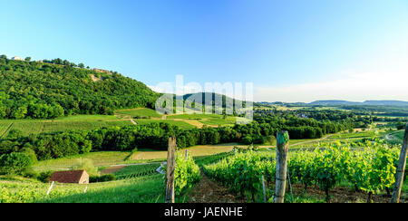 La France, du Jura, Château Chalon, étiqueté Plus Beaux Villages de France (plus beaux villages de France), vignoble AOC Appellation d'Origine Contrôlée Banque D'Images