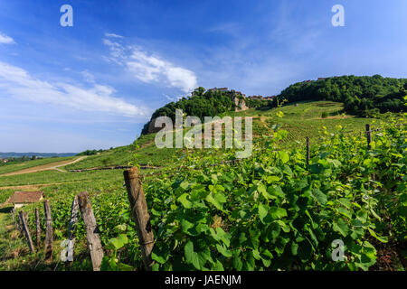 La France, du Jura, Château Chalon, étiqueté Plus Beaux Villages de France (plus beaux villages de France), vignoble AOC Appellation d'Origine Contrôlée Banque D'Images