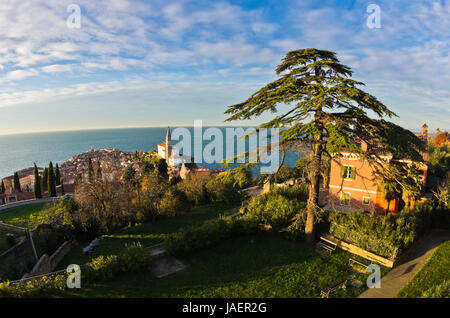 Vue panoramique de la mer Adriatique, sur les toits en ville de Piran en Istrie, Slovénie Banque D'Images