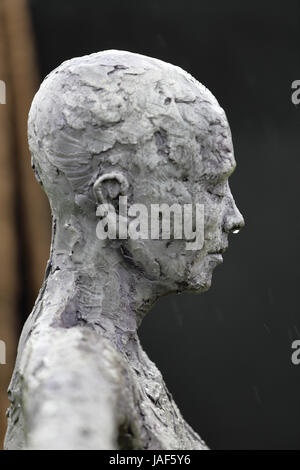 Chatsworh, Royaume-Uni, le 6 juin, 2017. Chatsworth RHS Flower Show, calme dans la tempête comme RHS Flower Show ferme en raison du mauvais temps. Credit : Groombridge/Alamy Live News Banque D'Images