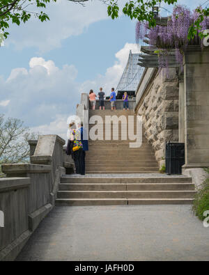 Biltmore Estate - cas d'escalier avec un décor Banque D'Images