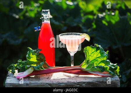 Close up de rhubarbe fraîche, un verre et une bouteille en verre avec une boisson rose. Un cocktail de rhubarbe. Banque D'Images