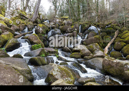 Les roches moussues, des rochers et des arbres. Chutes d'eau à Becky Falls, Dartmoor, en Angleterre. Banque D'Images