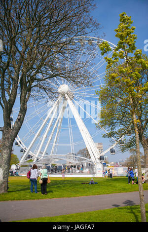 La grande roue de Plymouth, une roue d'observation de 60 mètres sur l'Hoe, Plymouth, Devon, England, UK Banque D'Images