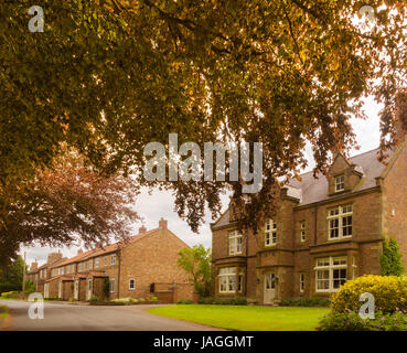 Rue et maisons du village, Sessay, North Yorkshire, UK. Banque D'Images