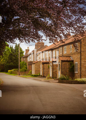 Rue et maisons du village, Sessay, North Yorkshire, UK. Banque D'Images