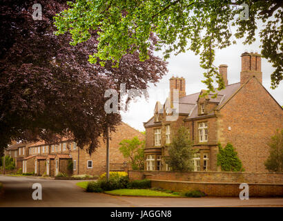 Rue et maisons du village, Sessay, North Yorkshire, UK. Banque D'Images