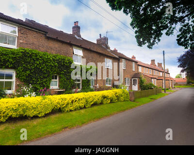 Rue et maisons du village, Sessay, North Yorkshire, UK. Banque D'Images