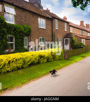 Rue et maisons du village, Sessay, North Yorkshire, UK. Banque D'Images