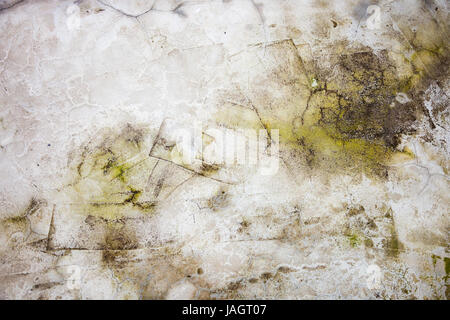 Les mauvaises herbes sur la texture du béton. Banque D'Images