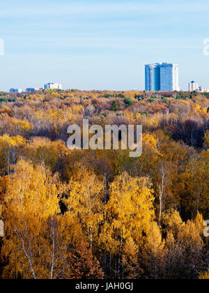 Maison urbaine sur les arbres des forêts à l'automne après-midi Banque D'Images