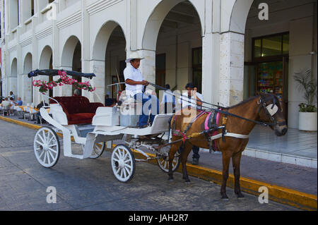 Mexique Merida Yucatan,,capital,espace,de l'indépendance,transport du cheval, Banque D'Images