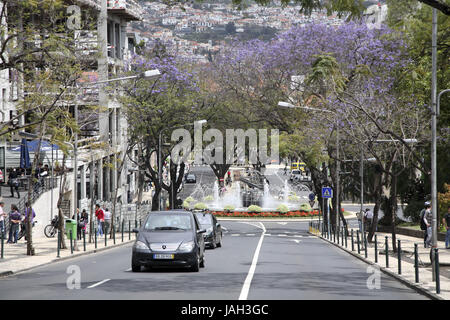 Portugal, Madère, Funchal,Avenida Infante th th Infante, Rotunda Banque D'Images