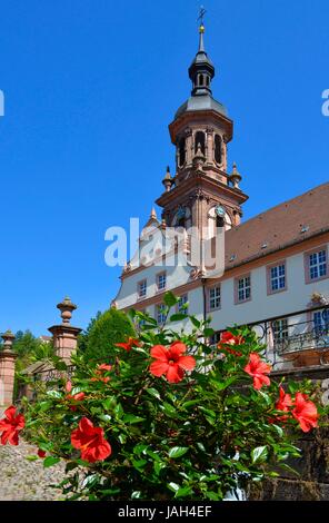 Schwarzwald, Gengenbach, Altstadt, Reichsabtei, Stadtkirche Saint Marien, Banque D'Images