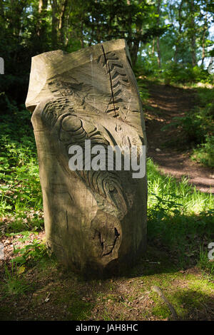 Royaume-uni, Angleterre, Shropshire, le Wrekin, sculpture sur bois, à la tronçonneuse Ercall, tronc d'arbre sculpté Banque D'Images