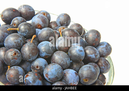 Reife Schlehen - Früchte des Schlehdorns (Prunus spinosa) vor weißem Hintergrund Banque D'Images