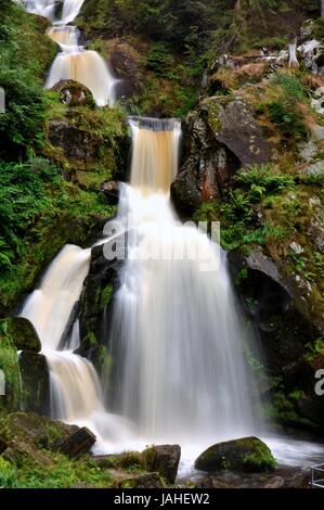 Großer Wasserfall im Grünen à Triberg Banque D'Images