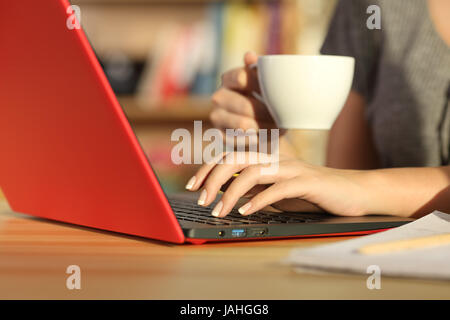 Close up of a Girl mains tenant une tasse de café et la vérification des contenus en ligne avec un ordinateur portable rouge assis sur une table dans une house interior Banque D'Images