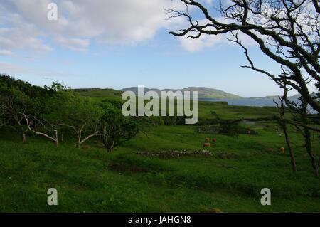 Loch Tuath, Torloisk, Isle of Mull, Scotland Banque D'Images