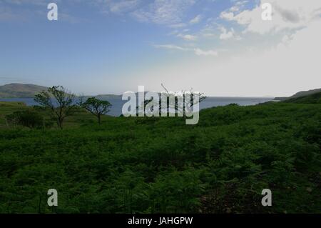 Loch Tuath, Torloisk, Isle of Mull, Scotland Banque D'Images