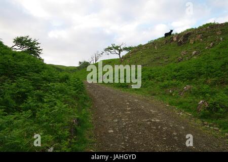 Loch Tuath, Torloisk, Isle of Mull, Scotland Banque D'Images