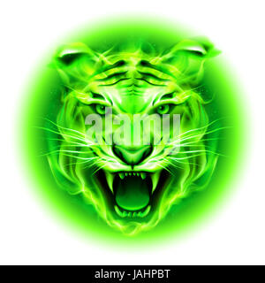 Tête de tigre de feu vert agressif isolé sur fond blanc. Banque D'Images