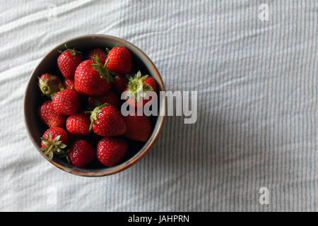 Ferme de fraises fraîches dans un bol avec la lumière naturelle Banque D'Images