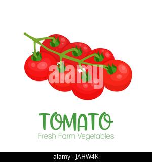 Tomate vecteur isolé sur fond blanc.illustration de légumes pour le marché agricole menu. La conception d'aliments sains de l'affiche. Cartoon style vector illustration Illustration de Vecteur
