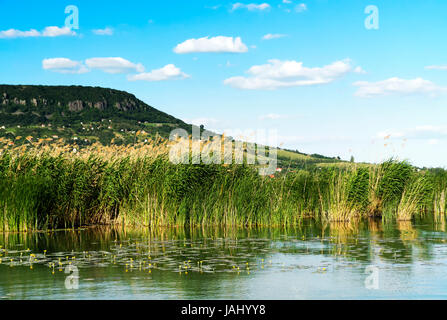 Paysage du lac Balaton, Hongrie Banque D'Images