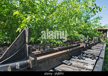 Vieux wagons sur la voie de chemin de fer dans les mauvaises herbes, les buissons et l'herbe. Banque D'Images